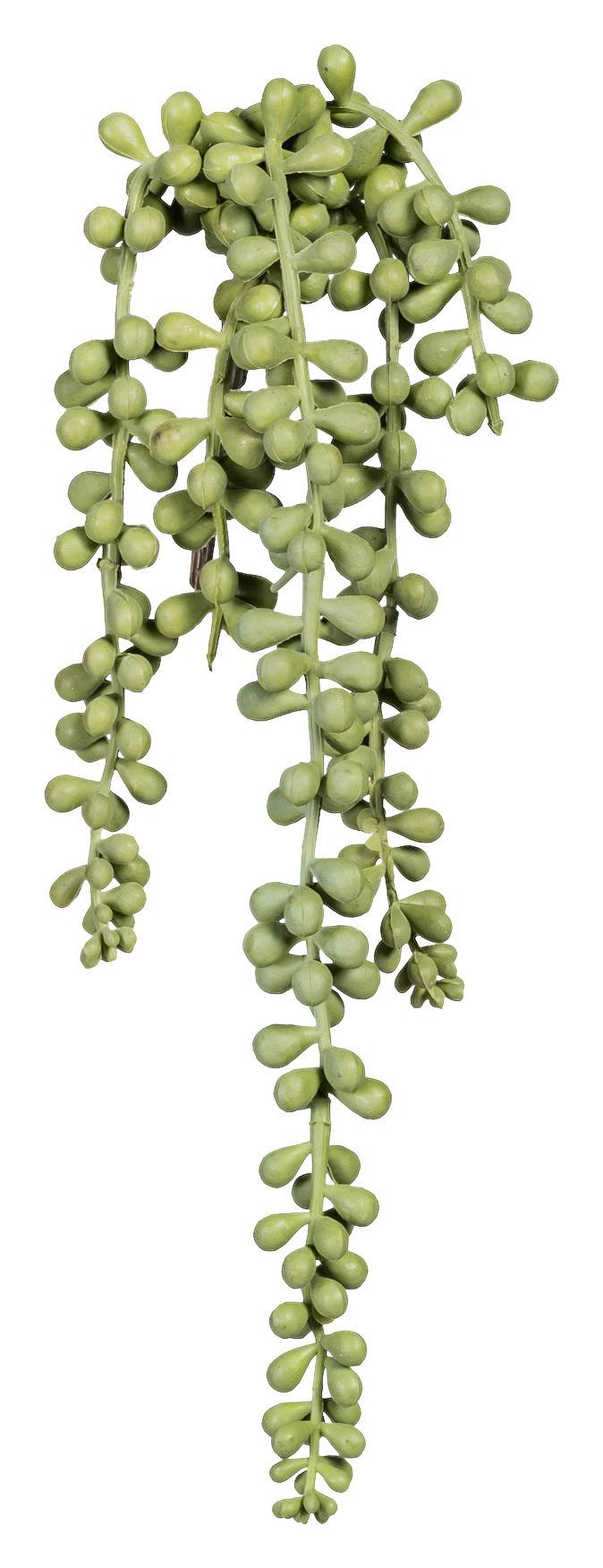 Kunstpflanze Sedumhänger Grün L: 35 cm, Lale - Grau/Grün, LIFESTYLE, Kunststoff (35cm)