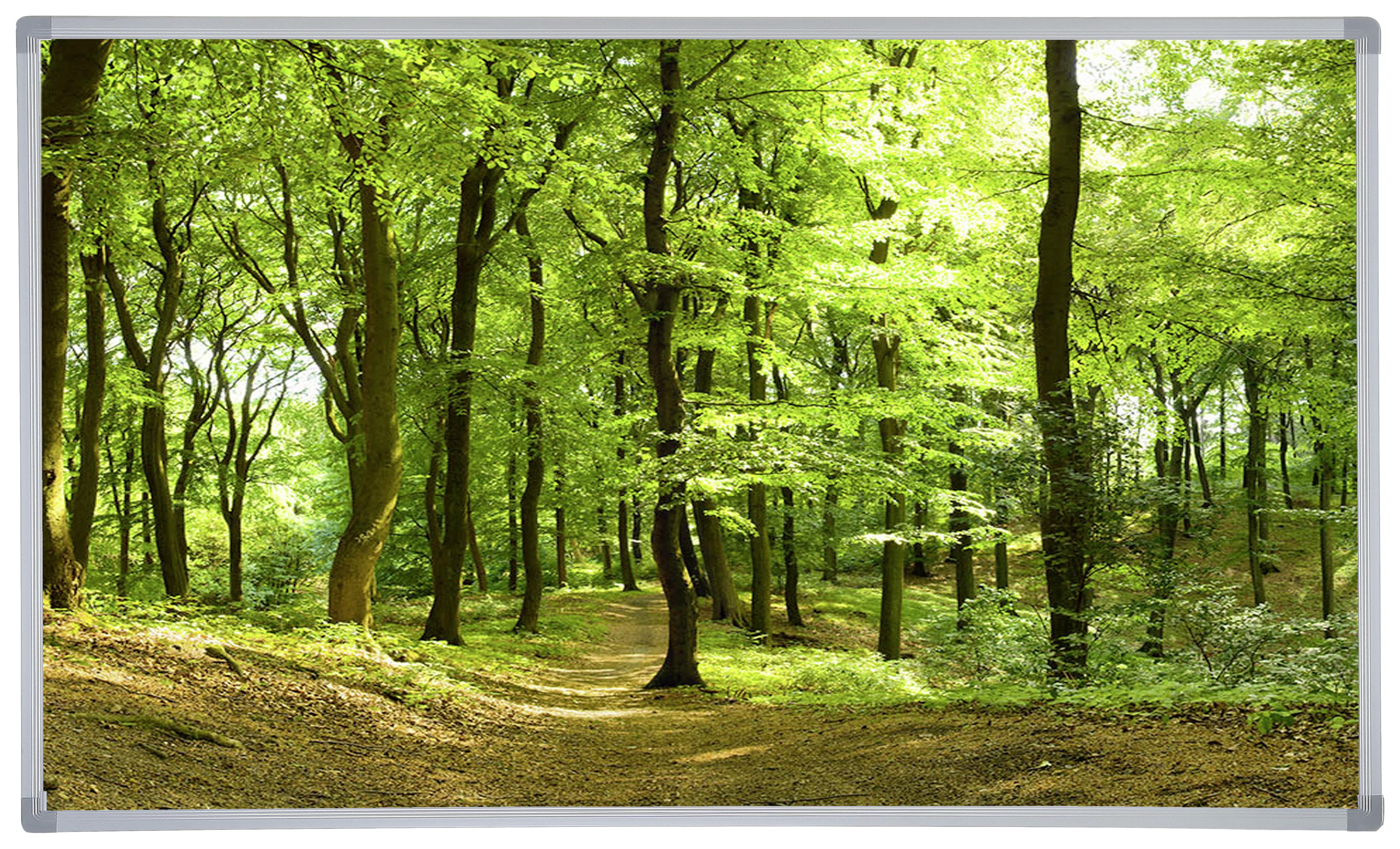 Infrarot-Heizung mit Waldmotiv online kaufen