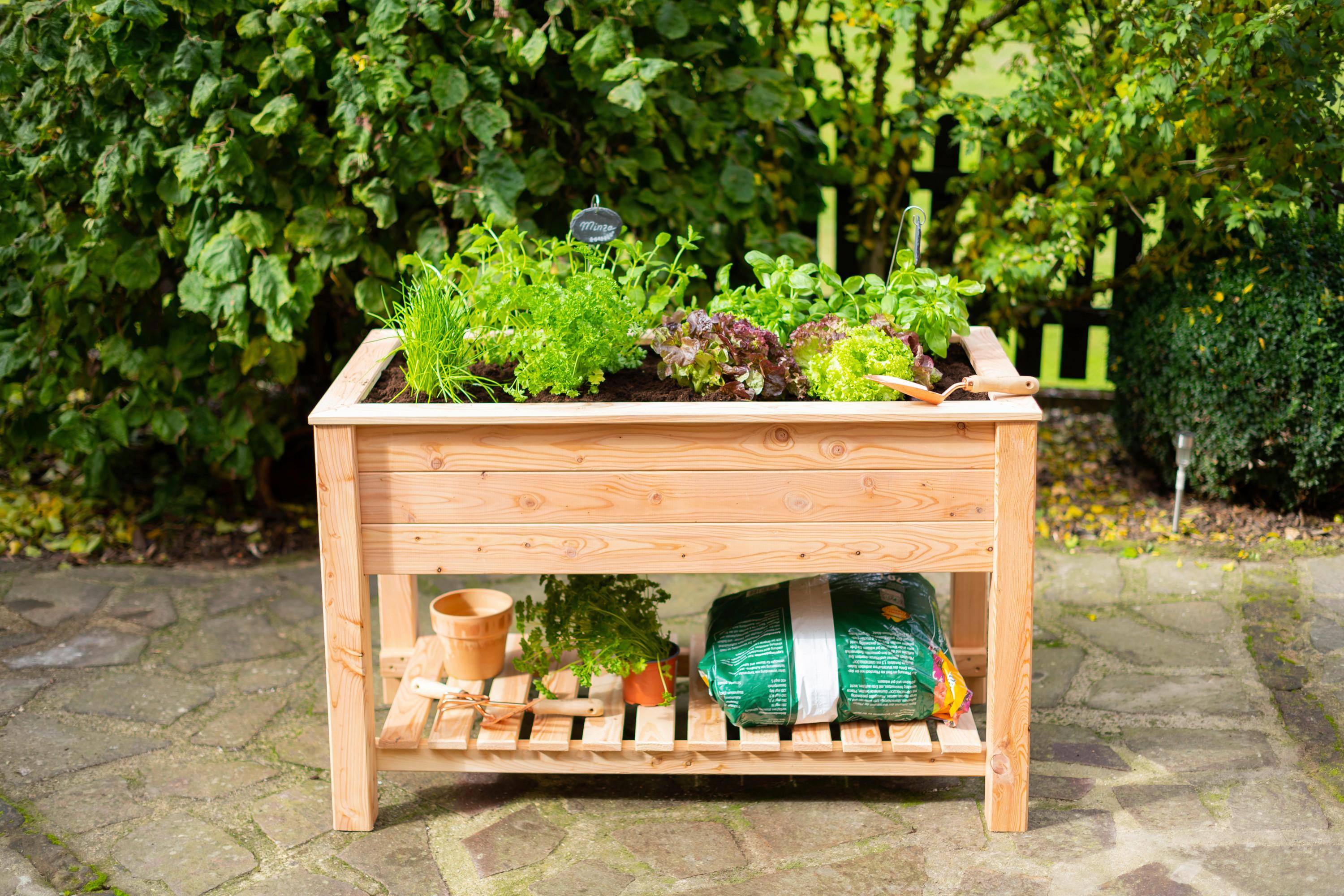 Hochbeet Hochbeet - Lärchefarben, KONVENTIONELL, Holz (120/65/75cm)