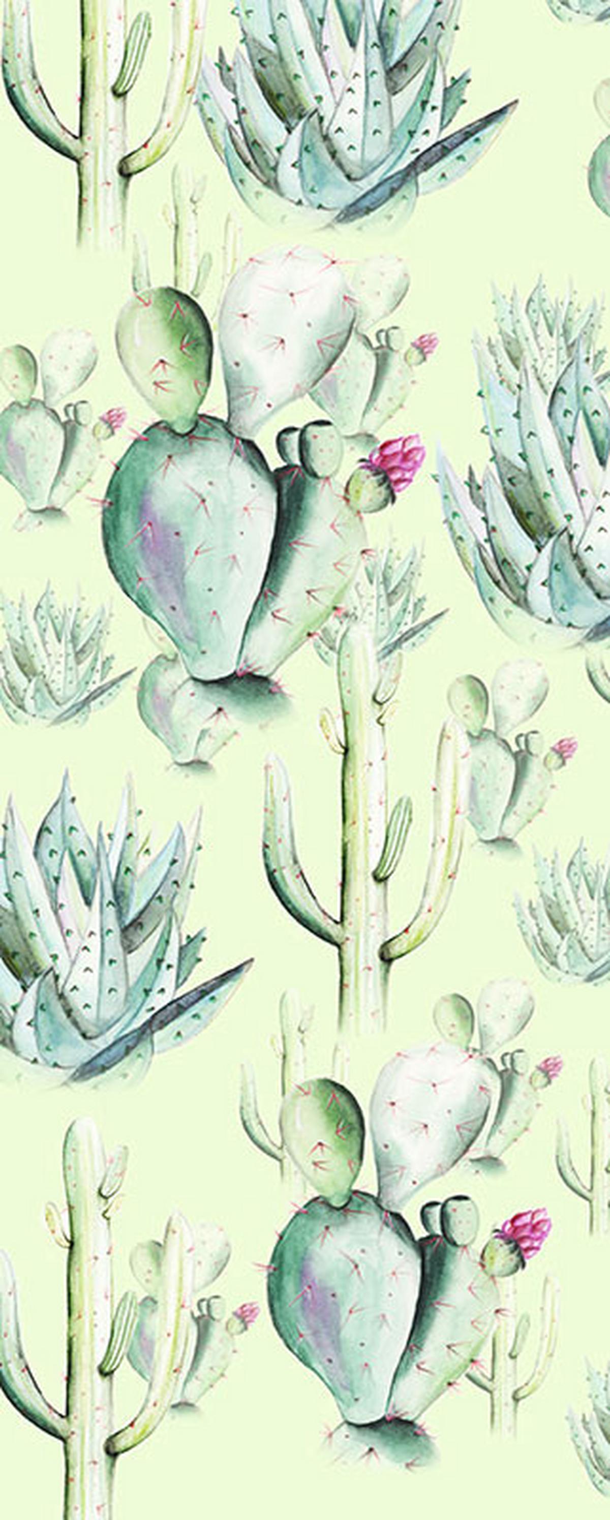 Vliestapete Cactus Green Panel - Grün, Basics (100/250cm) - Komar