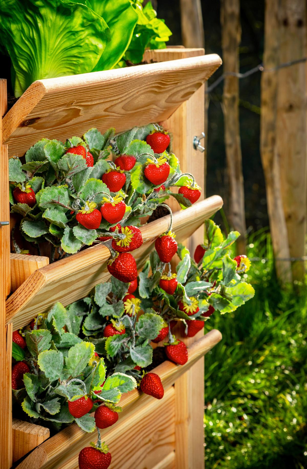 Hochbeet Echtholz Lärche 124x73x91 Cm Lärchefarben - Lärchefarben, Basics, Holz (124/73/91cm)