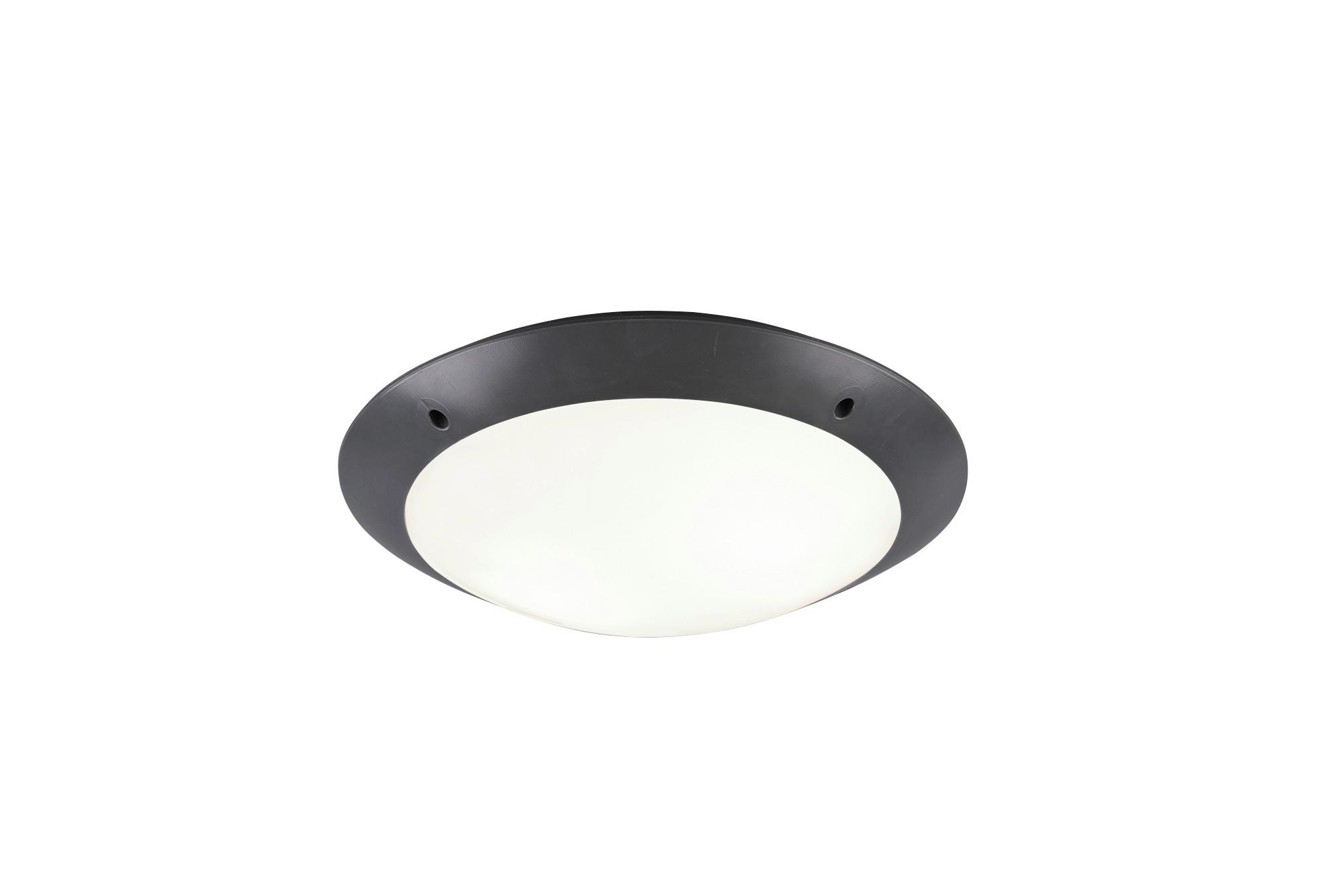 Außendeckenleuchte R60502042 Camaro