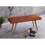 Sitzbank Salim B: 117 cm Leder - Braun, Natur, Leder (117/51/38cm) - Livetastic Sitzbank Salim B: 117 cm Leder - Braun, Natur, Leder (117/51/38cm) - Livetastic