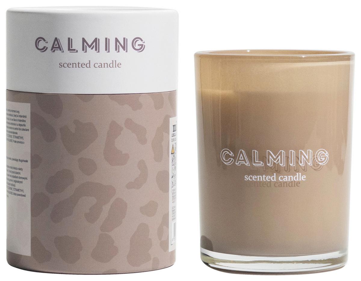 VONNÁ SVIEČKA LIBELLA - tmavosivá, prírodné materiály/sklo (8/10,6cm) - Modern Living