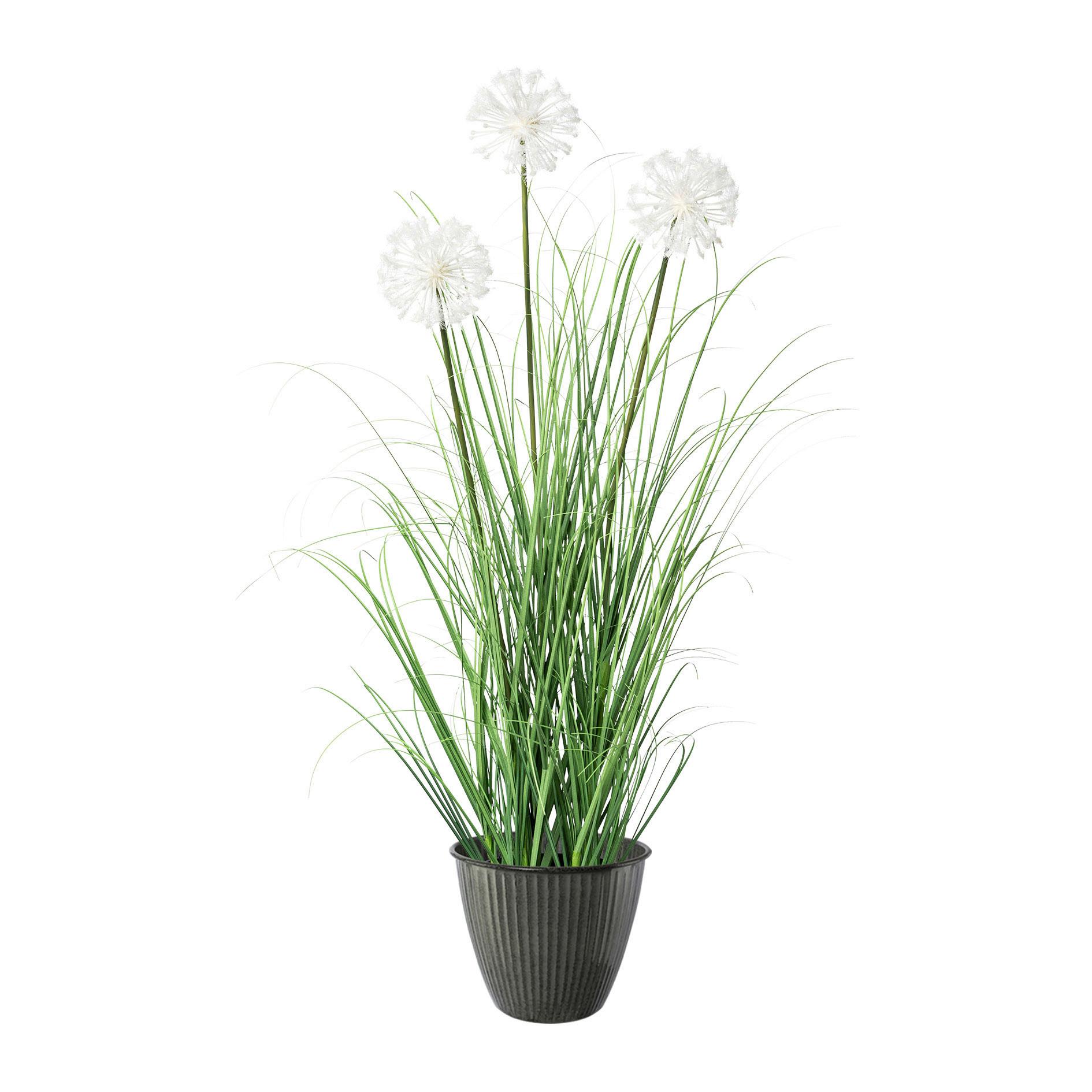 Kunstpflanze H: 78 Cm Weiß