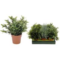 Műnövény Plant - műanyag