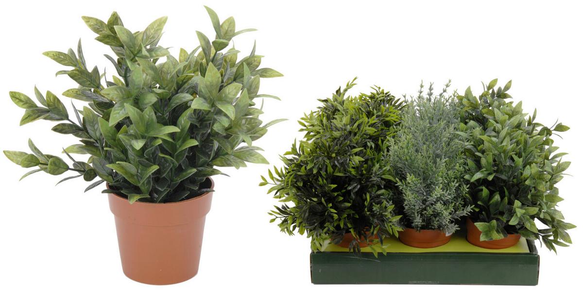 Műnövény Plant - műanyag