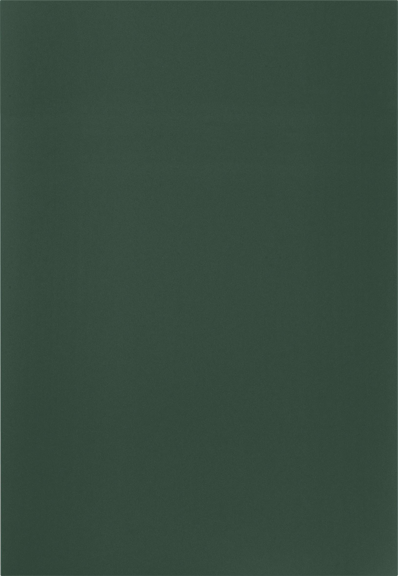 Küchenschrankfront Easytouch - Grün, MODERN, Holzwerkstoff (60/72/1,9cm) - Nobilia