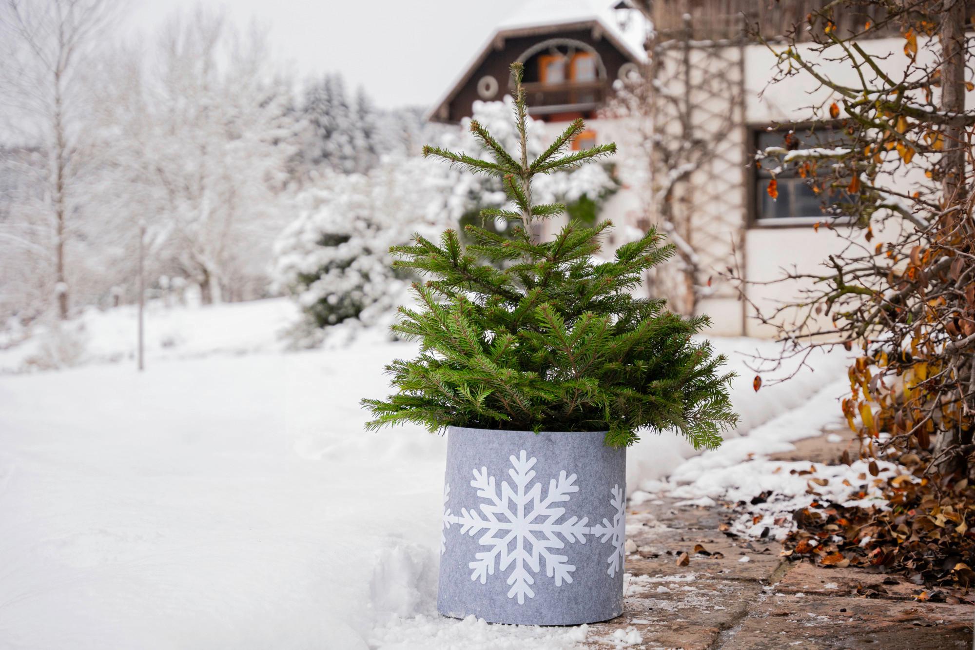 Deko Filz Topfschutz, 161x40cm , Schneeflocke L - Grauweiß, Basics, Kunststoff (161/40cm) - Windhager