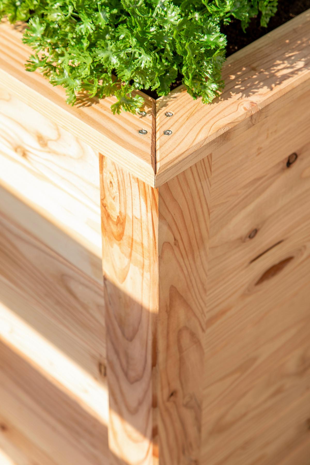 Hochbeet Echtholz Lärche 90x84x170 cm Lärchefarben - Lärchefarben, Basics, Holz (90/84/170cm)