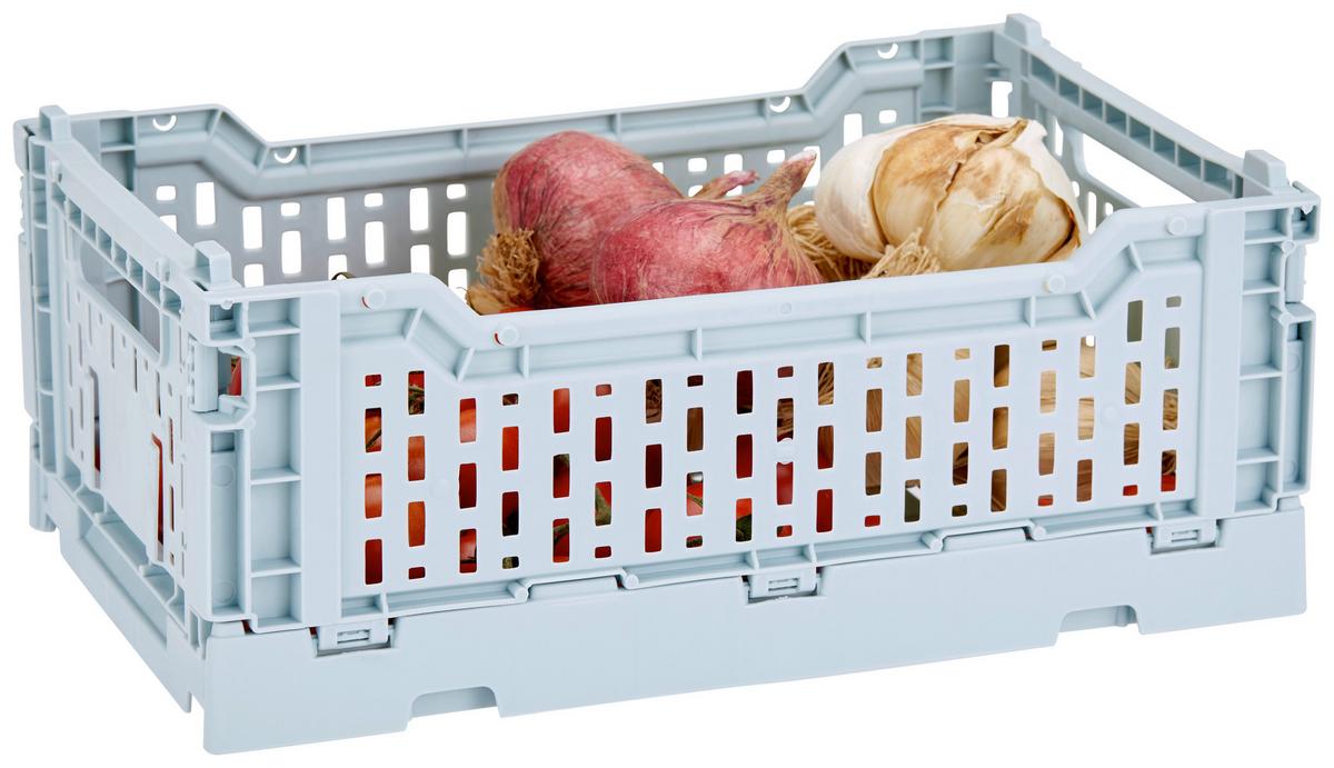 Faltbox Chaline Kunststoff 27x17x10,5 Cm - Blau/Weiß, Basics, Kunststoff (27/10,5/17cm) - Homezone