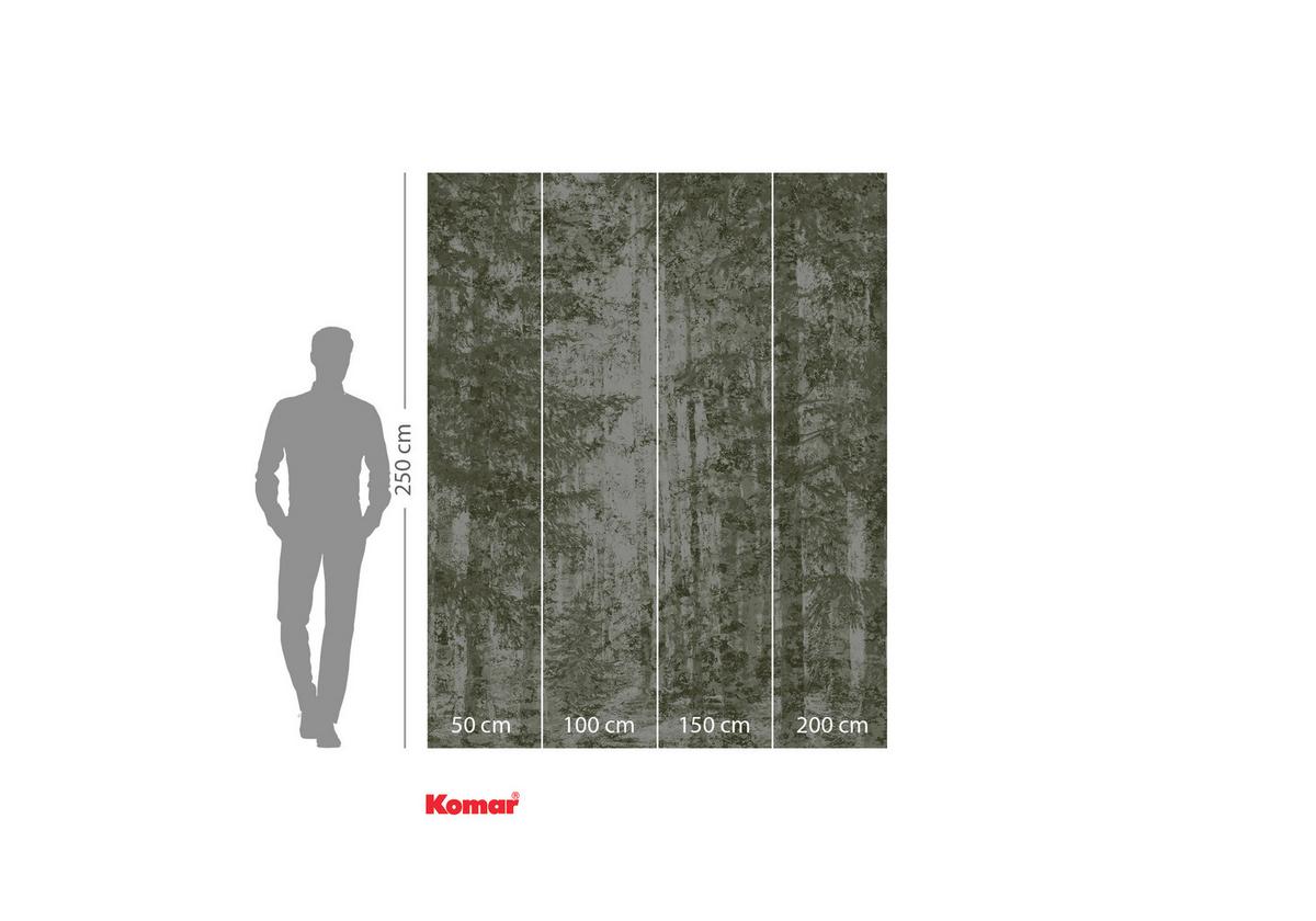 Vliestapete Fading Forest - Weiß/Grün, Basics (200/250cm) - Komar