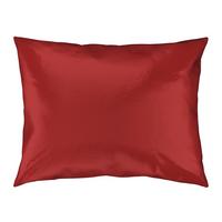 POŤAH NA VANKÚŠ Alex Uni, 40/60cm, terakota - terakota, Modern, textil (40/60cm) - Premium Living