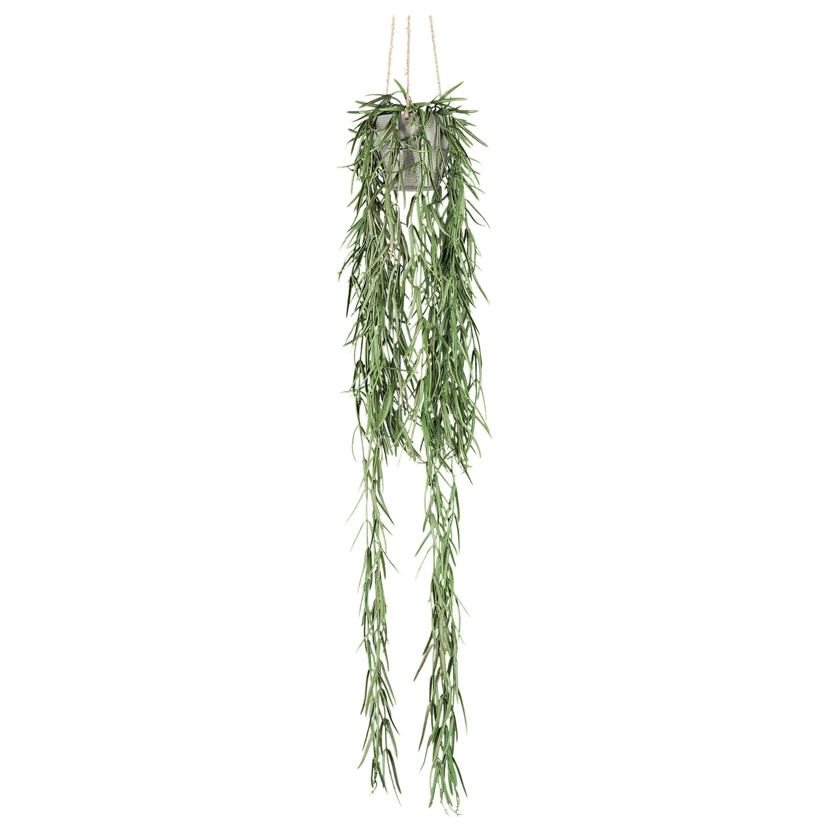 Umělá rostlina Tilandsie, 90cm - zelená, Basics, plast (90cm)