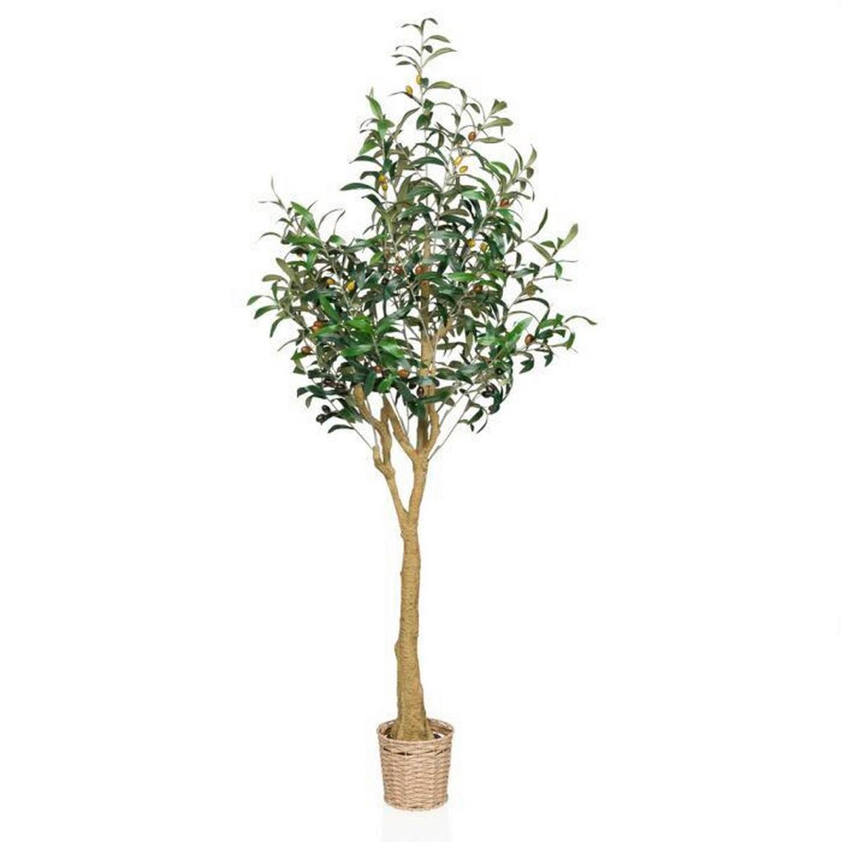 Kunstpflanze Grün/Hellbraun B: 60 cm - Hellbraun/Braun, MODERN, Kunststoff (60/150/60cm) - MID.YOU