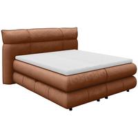 Boxspringbett Caramelo Kupfer 180x200 cm - Schwarz/Kupferfarben, Trend, Textil (180/200cm)
