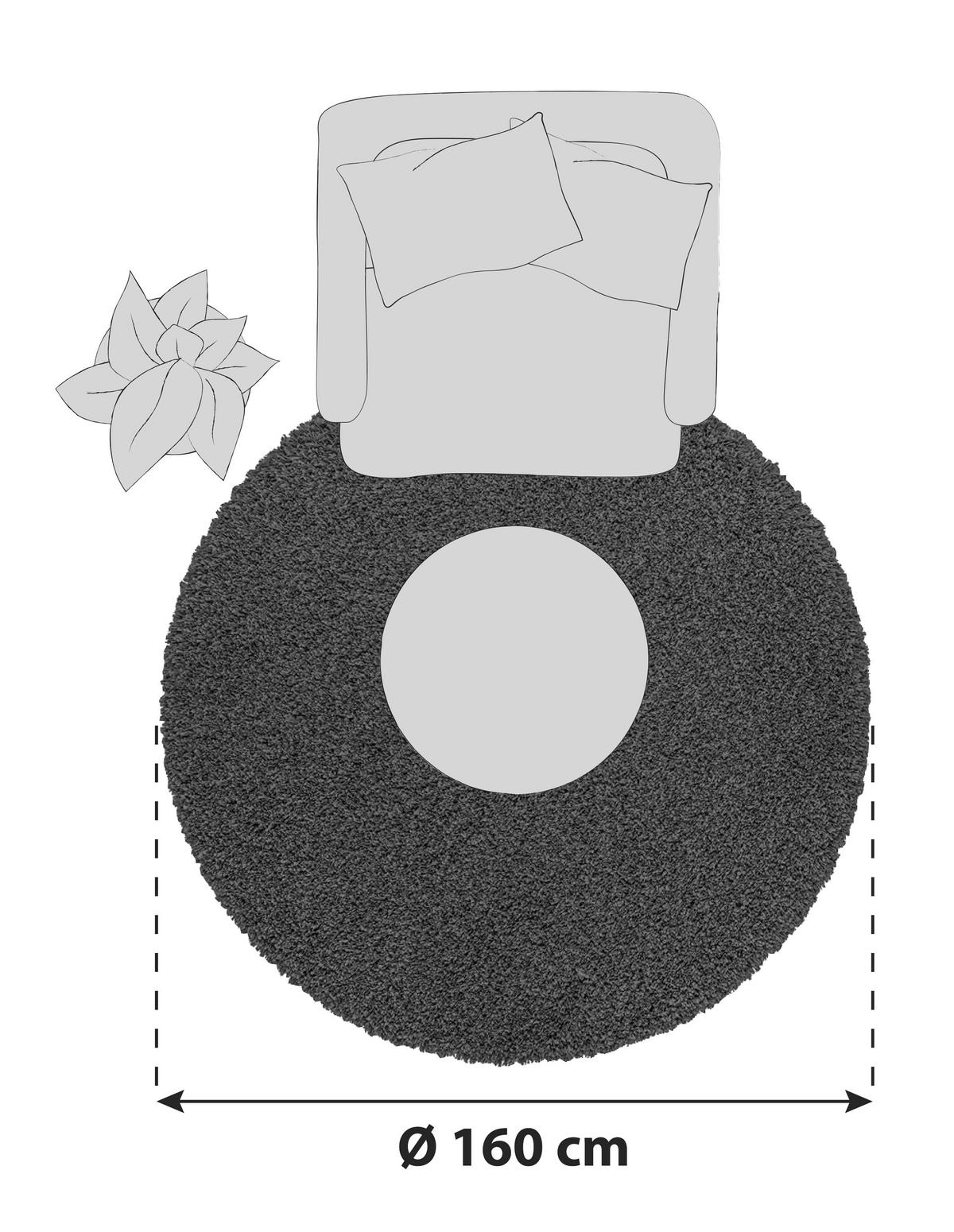 Hochflorteppich Fantasy Shaggy Hellbraun Rund Ø 160 cm - Hellbraun, Basics, Textil (160cm) - Novel