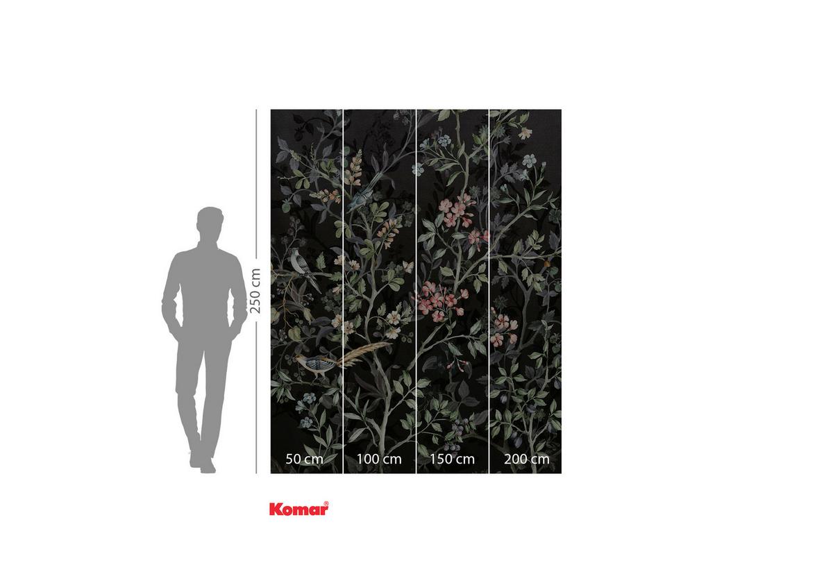 Vliestapete Nuit Royale - Schwarz/Rosa, Basics (200/250cm) - Komar