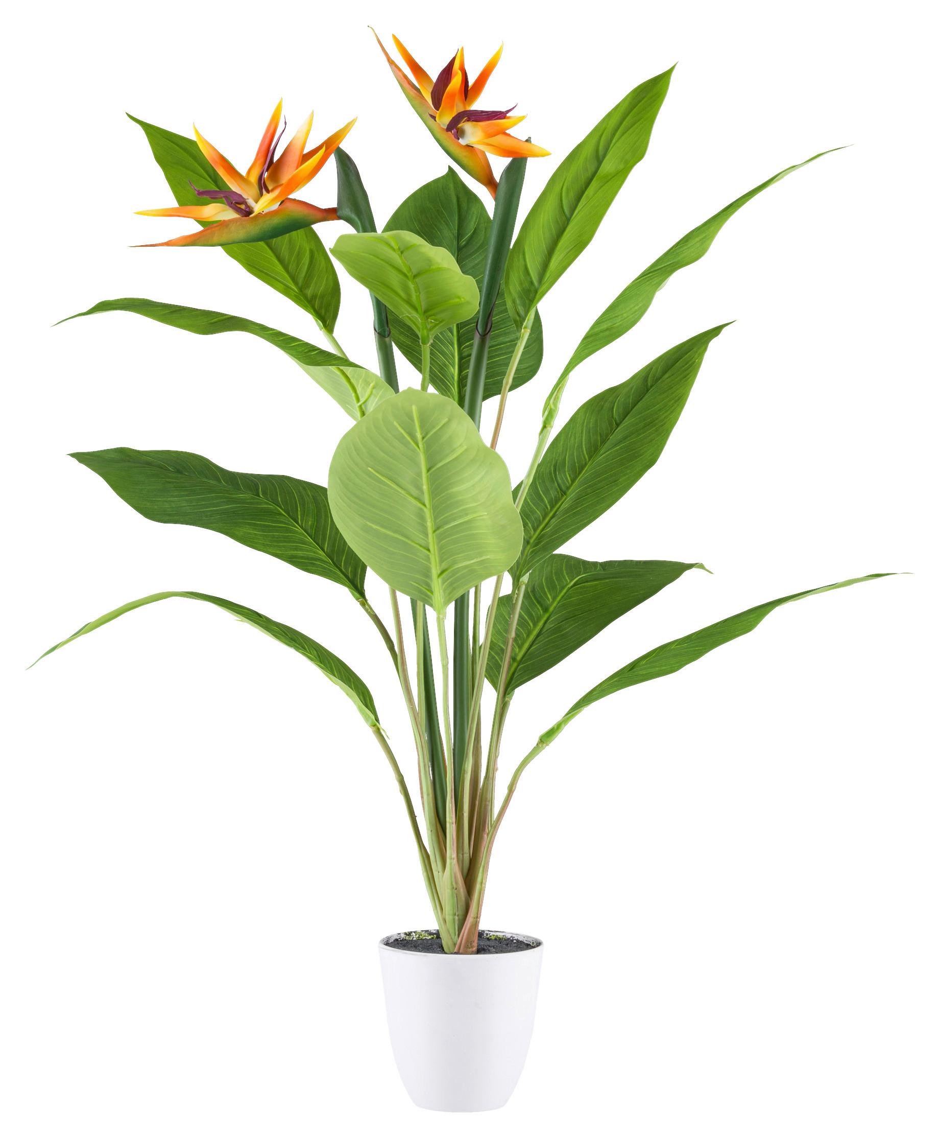 Kunstpflanze Strelitzie, Gelb, Lila, Orange, H: 80 cm - Gelb/Lila, Design, Kunststoff (80cm)