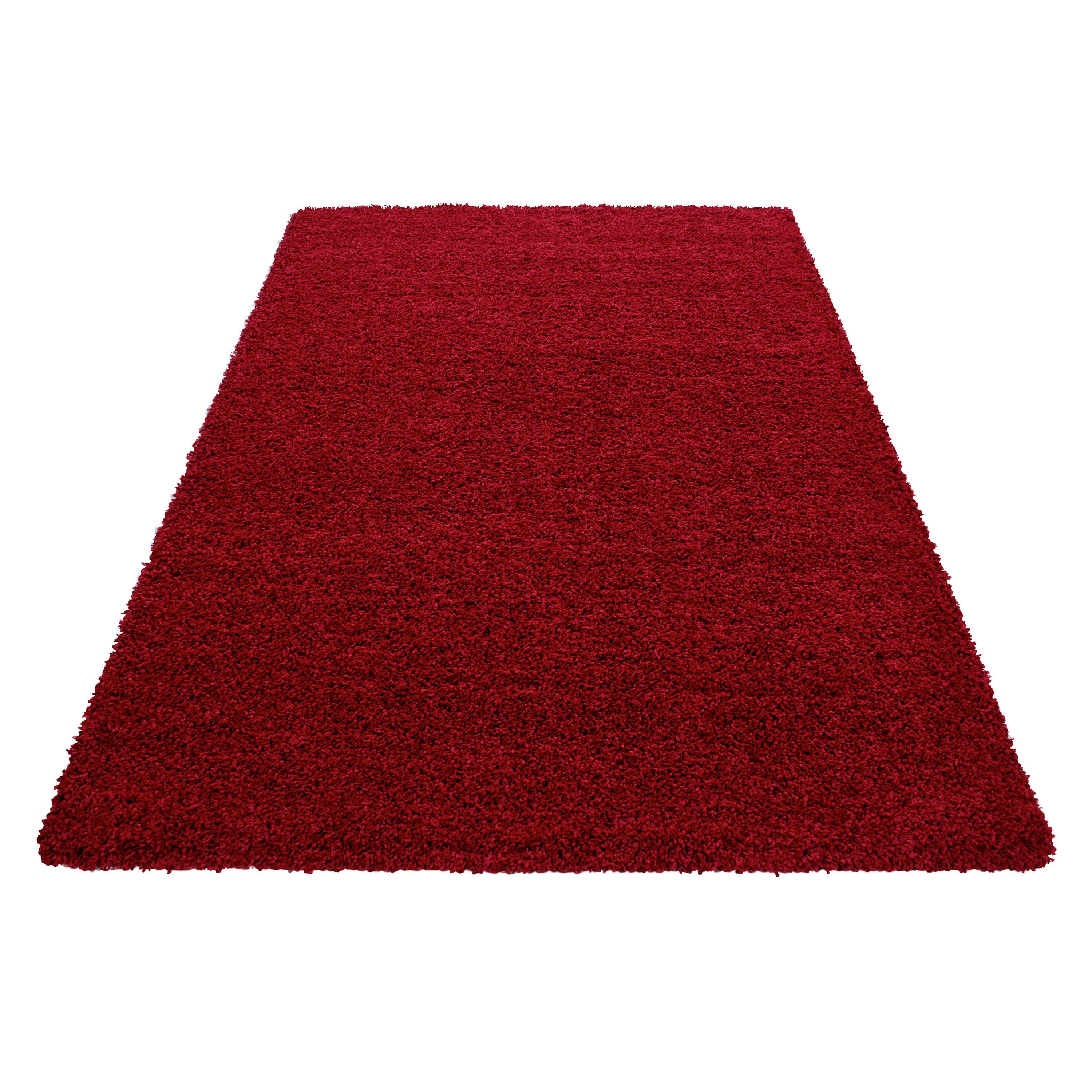 Hochflor Teppich Rot Life 300x400 cm