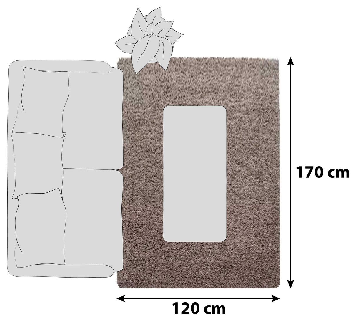 Hochflor Teppich Hellbraun Dream 120x170 cm - Hellbraun, KONVENTIONELL, Textil (120/170cm) - Novel