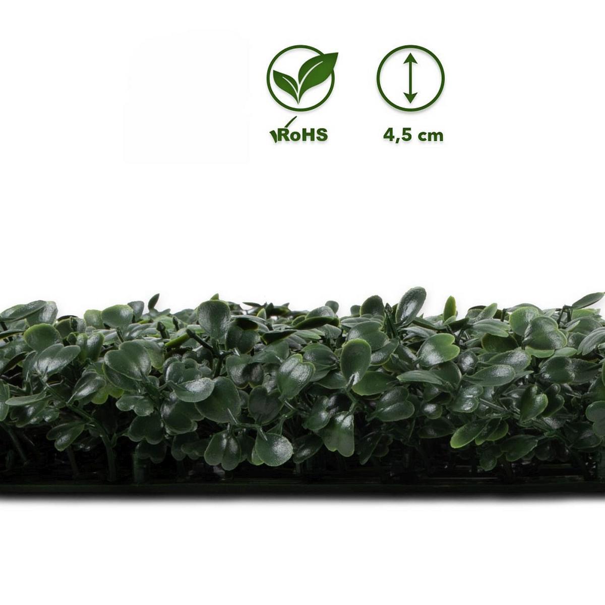 WANDVERKLEIDUNG KUNSTPFLANZE - Jadegrün, Trend, Kunststoff (50/50cm) - Floordirekt
