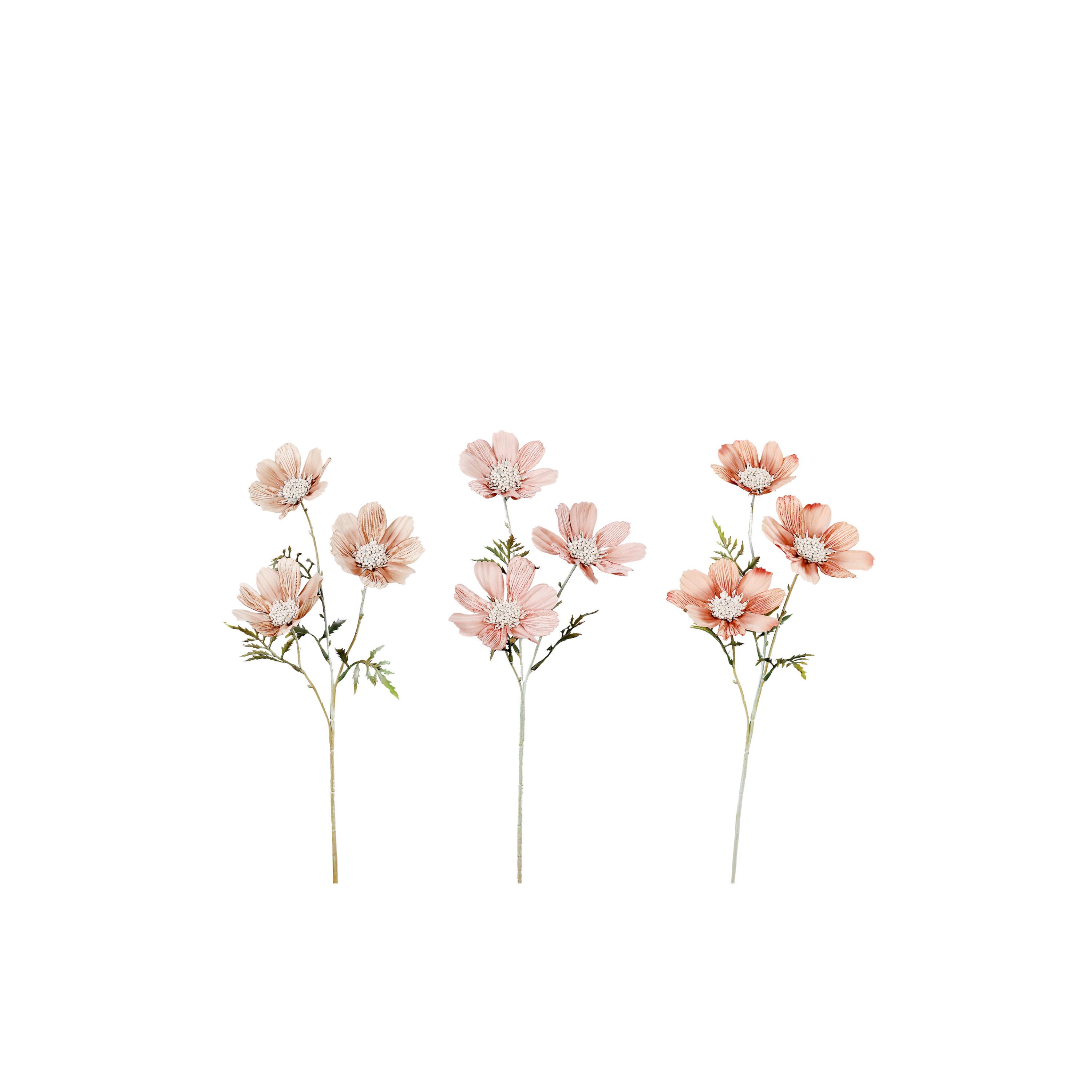 Cosmea farbl.sort 54 cm - Beige/Grün, Basics, Kunststoff (54cmcm)