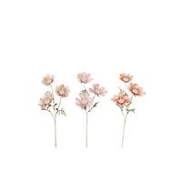Cosmea farbl.sort 54 cm - Beige/Grün, Basics, Kunststoff (54cmcm)
