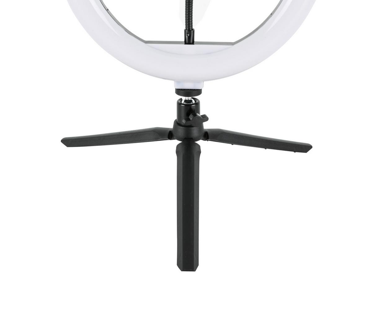 Dekoračné svietidlo Tofo, P/V: ca 26/40cm, čierna - čierna, Modern, kov/plast (24,5/38cm) - Mömax