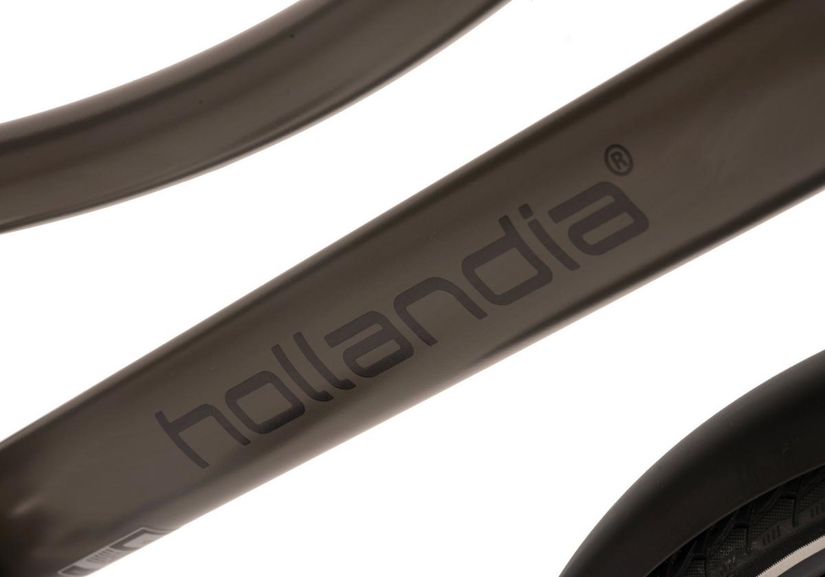 E-bike City Damen Hollandia Carry 28 Zoll 120km - Grau, Basics, Metall (180/70/100cm)
