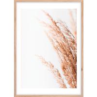 Obraz Image, ca. 50/70cm - bílá/béžová, kompozitní dřevo/plast (50/70cm) - Mömax