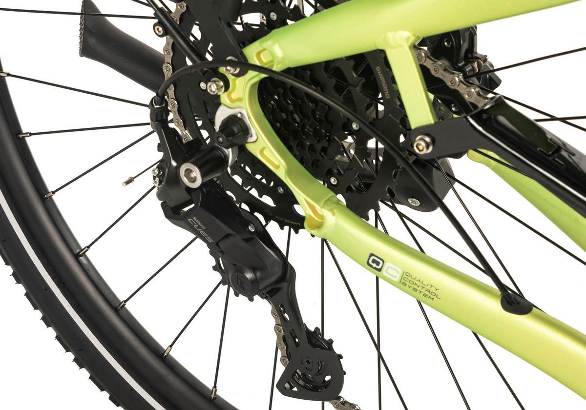 E-Citybike 28'' Grün Matt - Grün, LIFESTYLE, Metall (180/70/100cm)