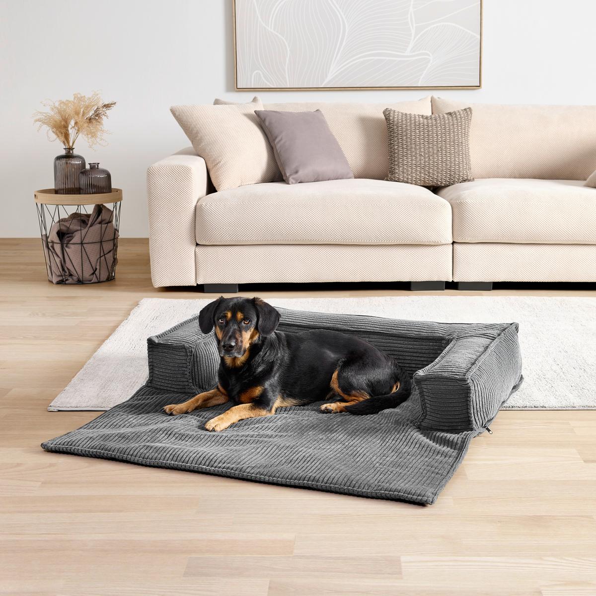 Pohovka pre psa PET FLAT, antracitový menčester - tmavosivá, Konventionell, textil (105/20/105cm) - Mömax