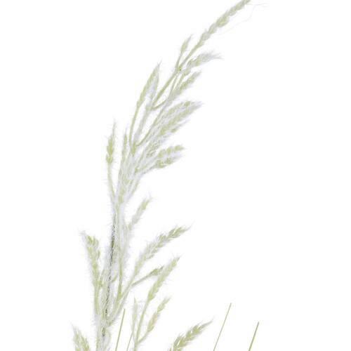 Kunstpflanze Grasbündel Creme/grün L: 96 Cm - Creme/Grün, MODERN, Kunststoff (96cm)