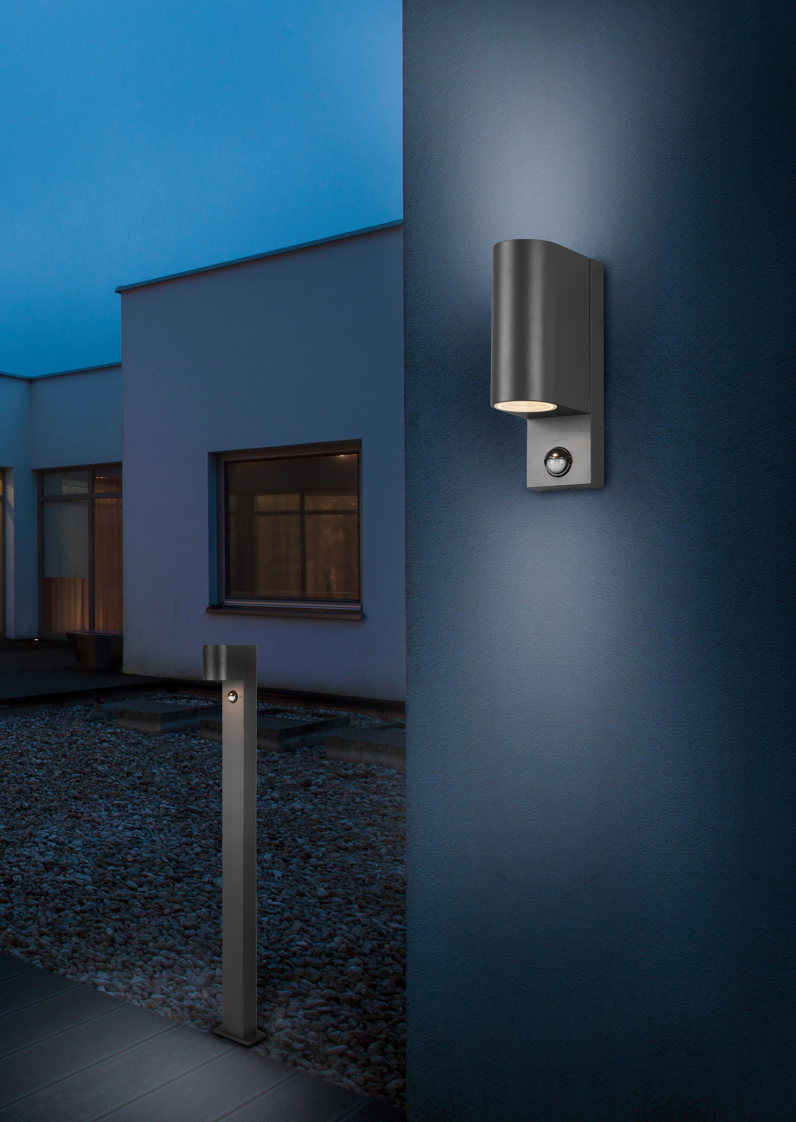 Außenwandleuchte 214260242 Roya - Anthrazit, Basics, Metall (7/22/11,8cm) - Trio Leuchten