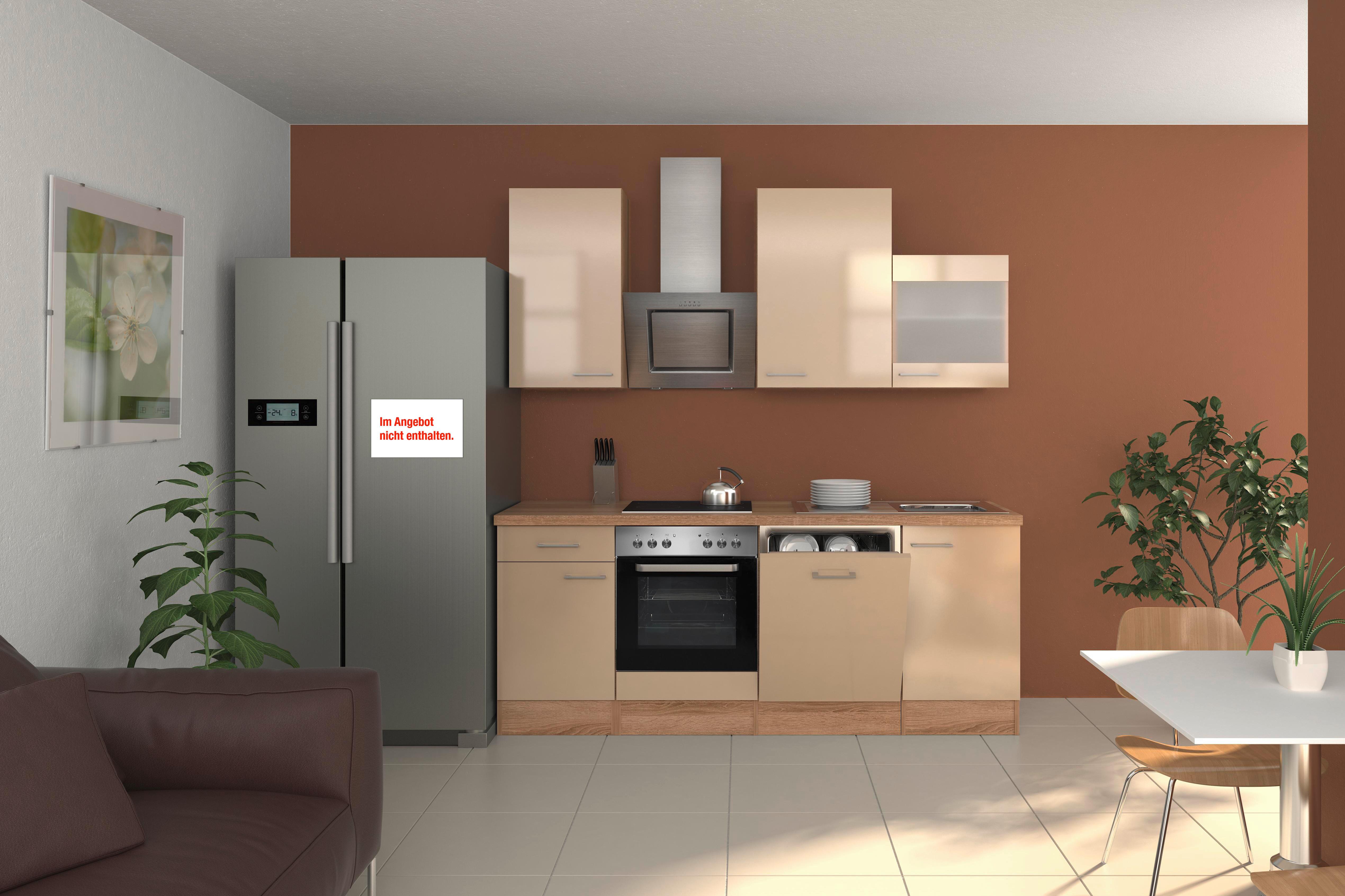 Küchenzeile Nepal Mit Geräten 220 Cm Kaschmir/eiche Dekor