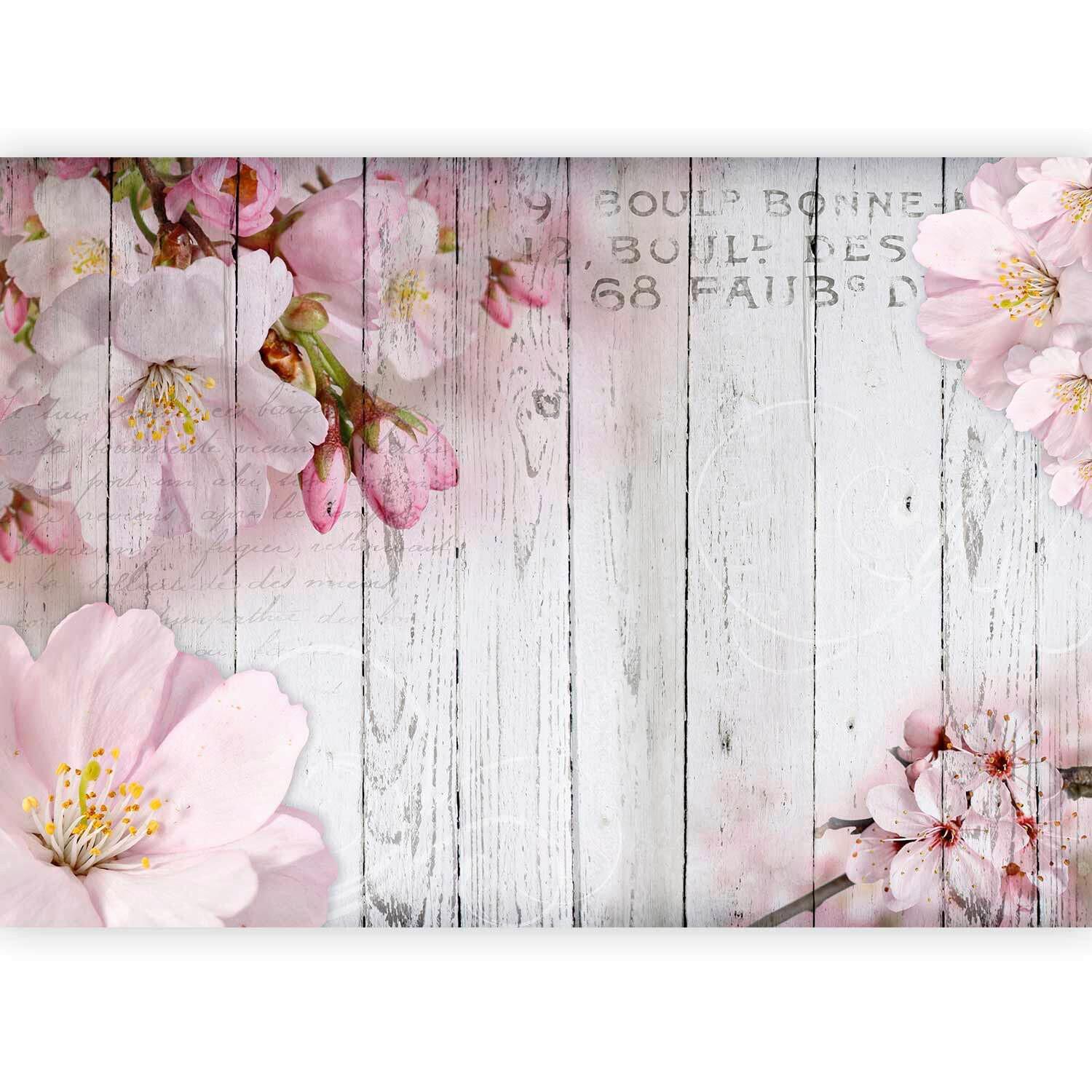 FOTOTAPETE Pink Hellgrau B: 400 cm - Pink/Hellgrau, Basics, Textil (400/280cm) - artgeist