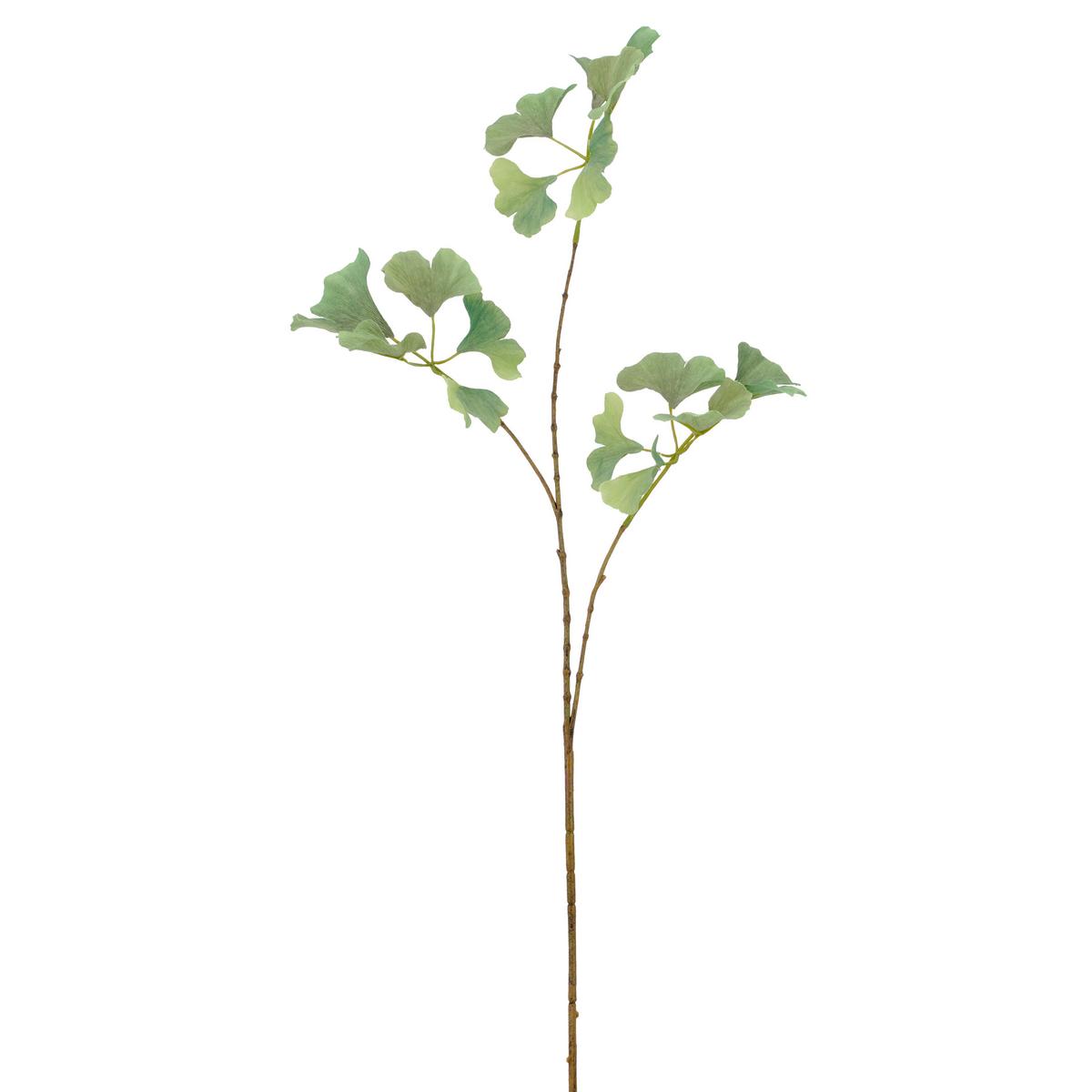 Kunstpflanze Gingkozweig - Grün, Basics, Kunststoff/Metall (85cm)