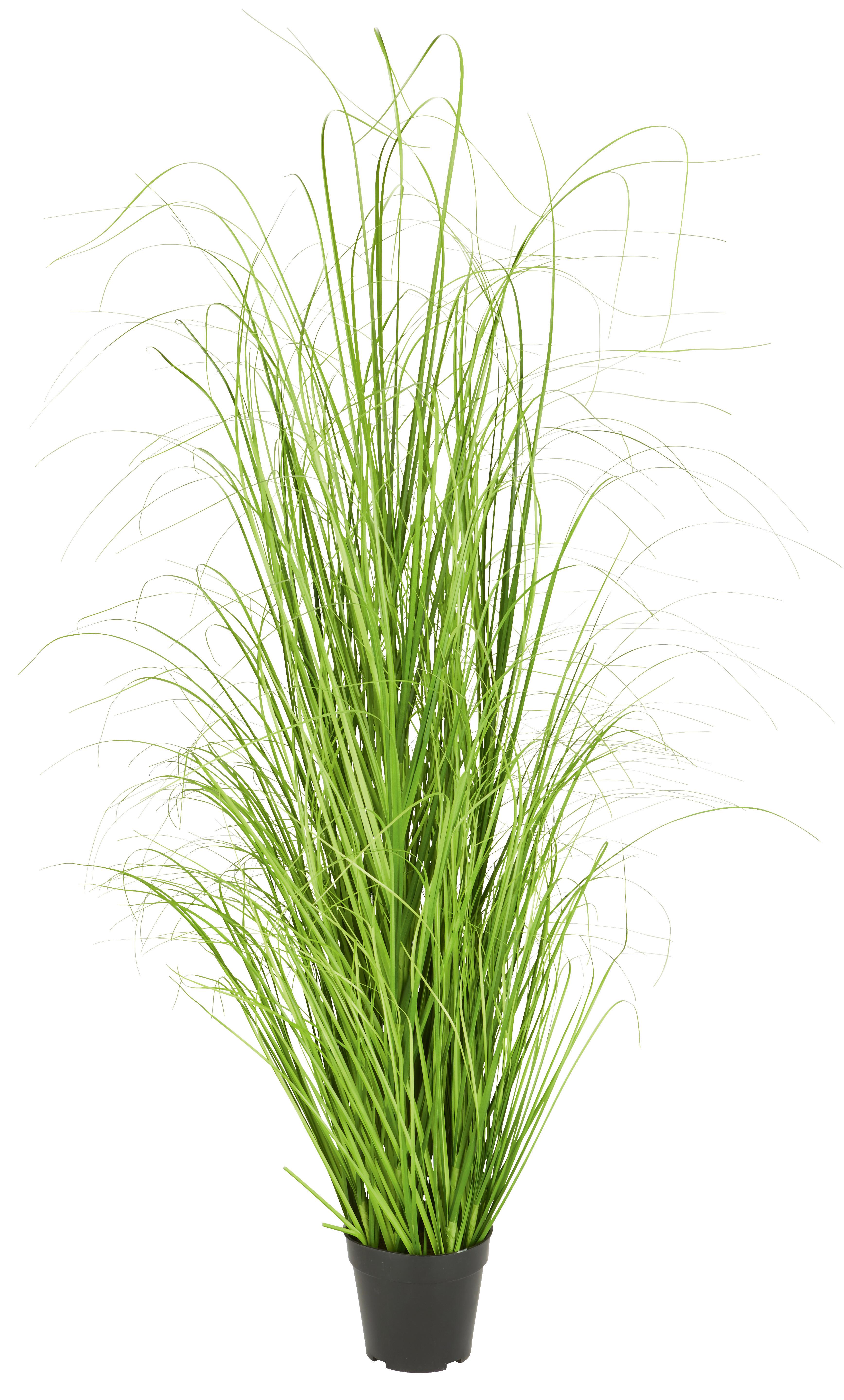 TRS TRÁVY Patrick - zelená, textil (120cm) - Modern Living