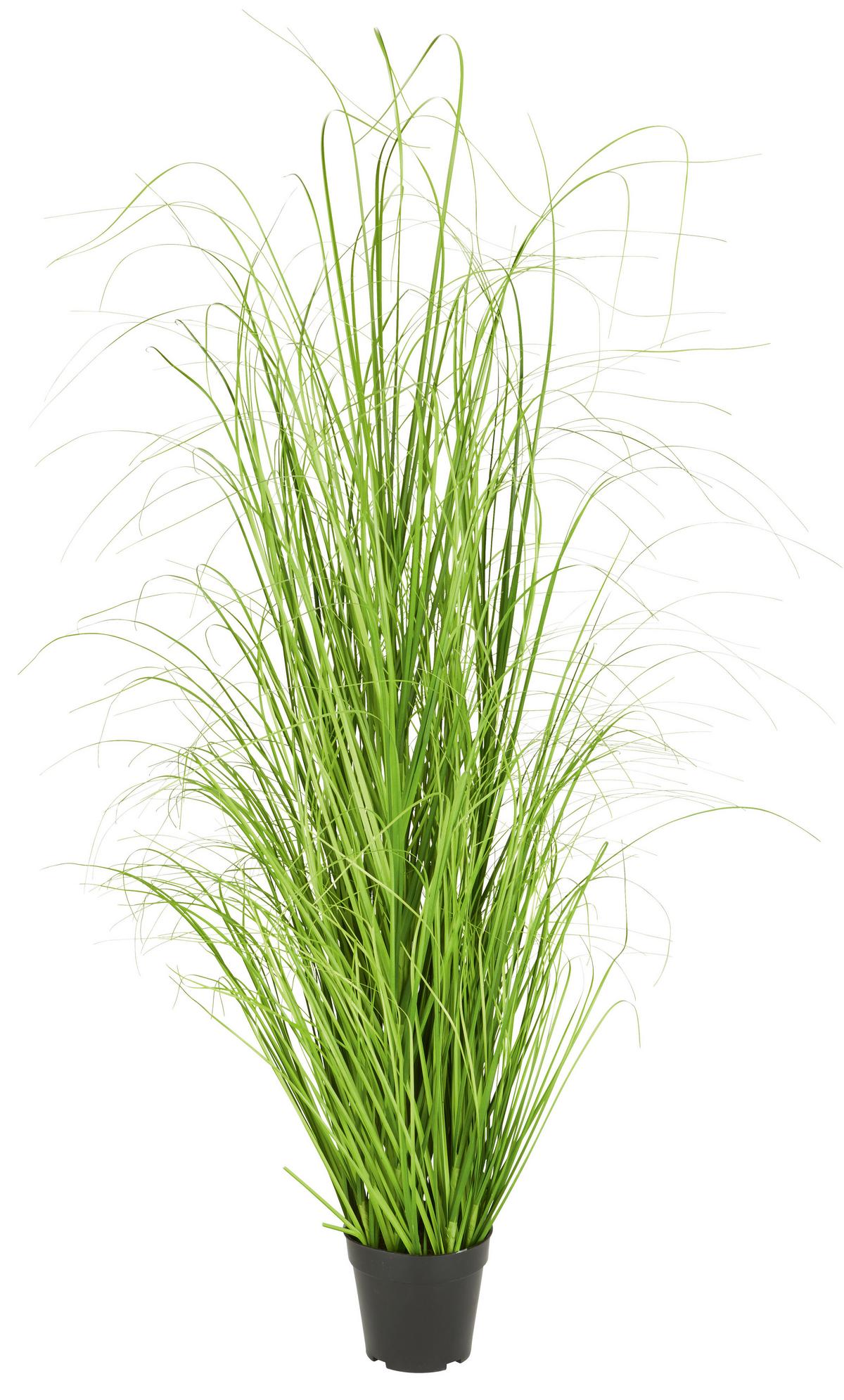 SVAZEK TRÁVY Patrick - zelená, textil (120cm) - Modern Living