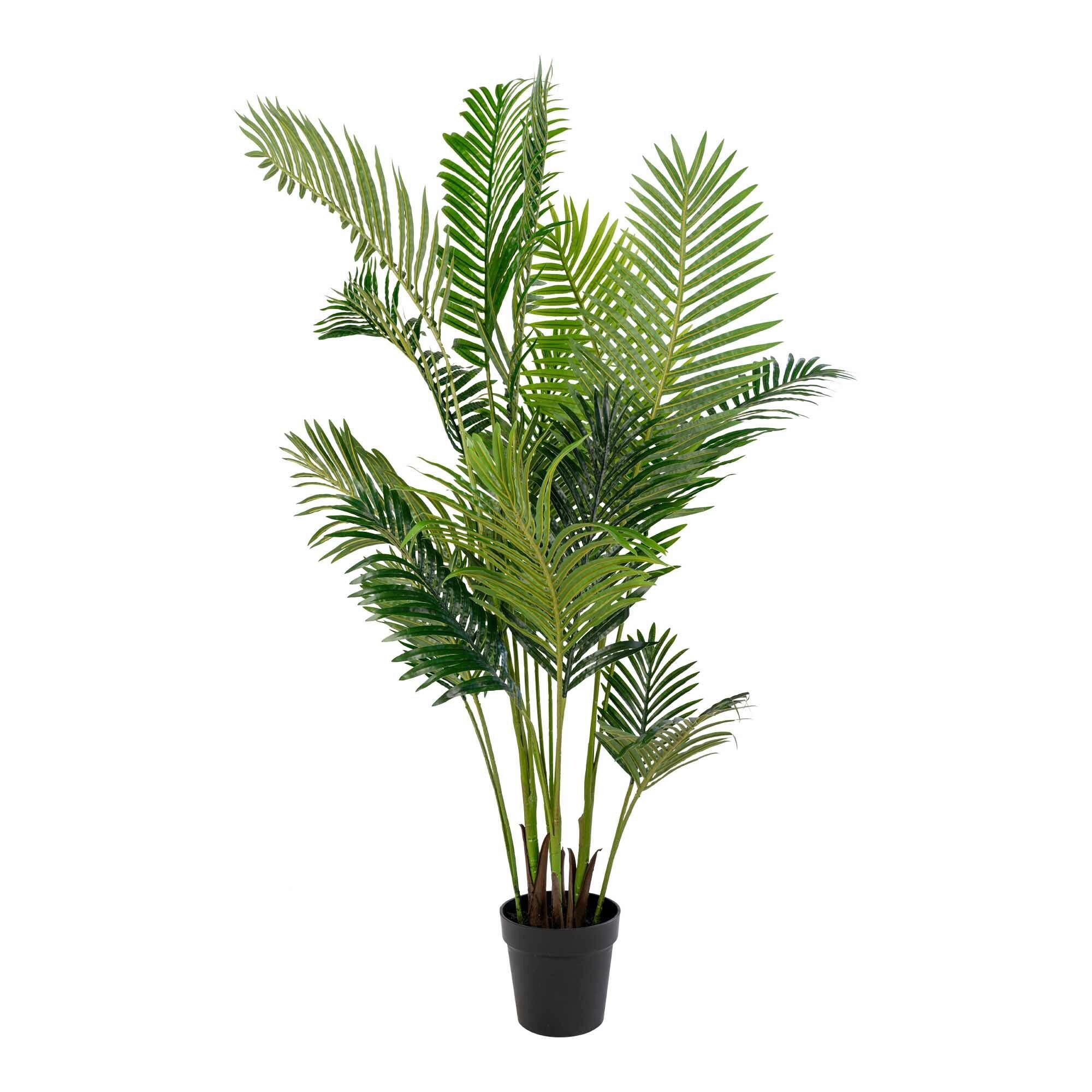Kunstpflanze Areca Grün Schwarz H: 175 cm - Schwarz/Grün, Basics, Kunststoff (175cm)