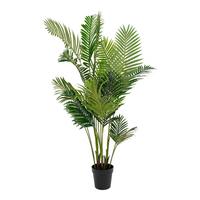 Kunstpflanze Areca Grün Schwarz H: 175 Cm - Schwarz/Grün, Basics, Kunststoff (175cm)