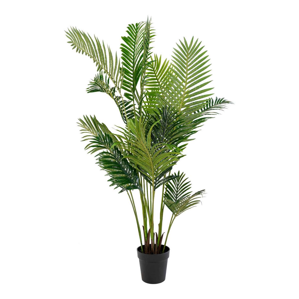 Kunstpflanze Areca Grün Schwarz H: 175 Cm - Schwarz/Grün, Basics, Kunststoff (175cm)