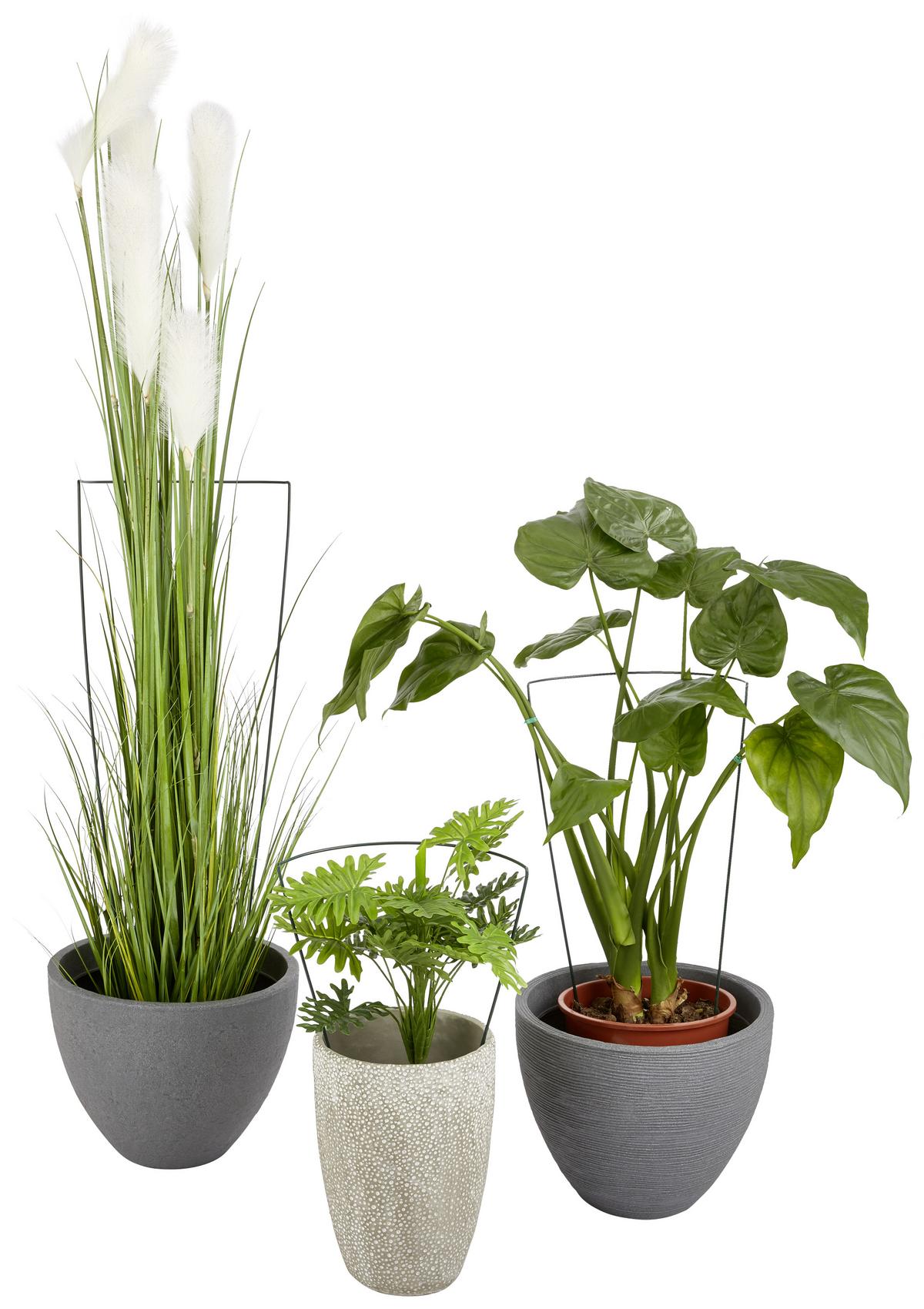 Pflanzstab Erea Metall 35 Cm Kunststoffummantelt Grün - Grün, Basics, Kunststoff/Metall (35cm) - Homezone