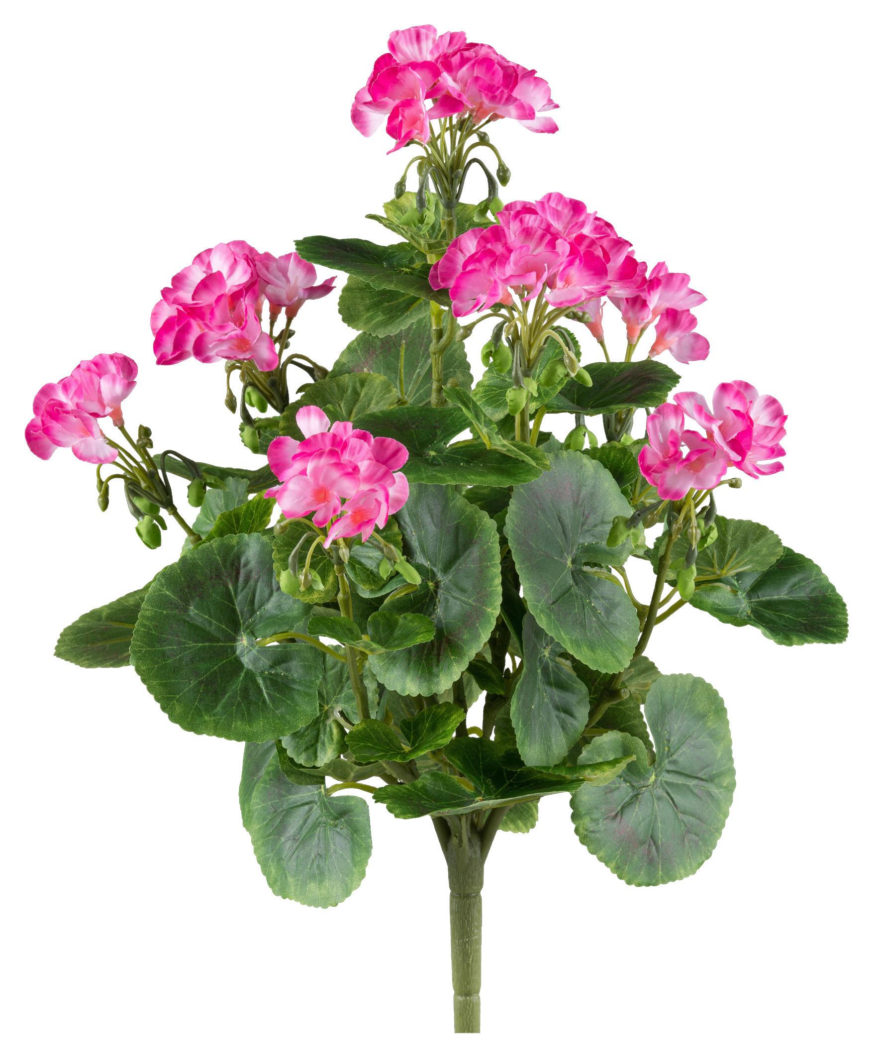 Kunstpflanze H: 40 cm - Pink/Grün, Design, Kunststoff (40cm) - P & B