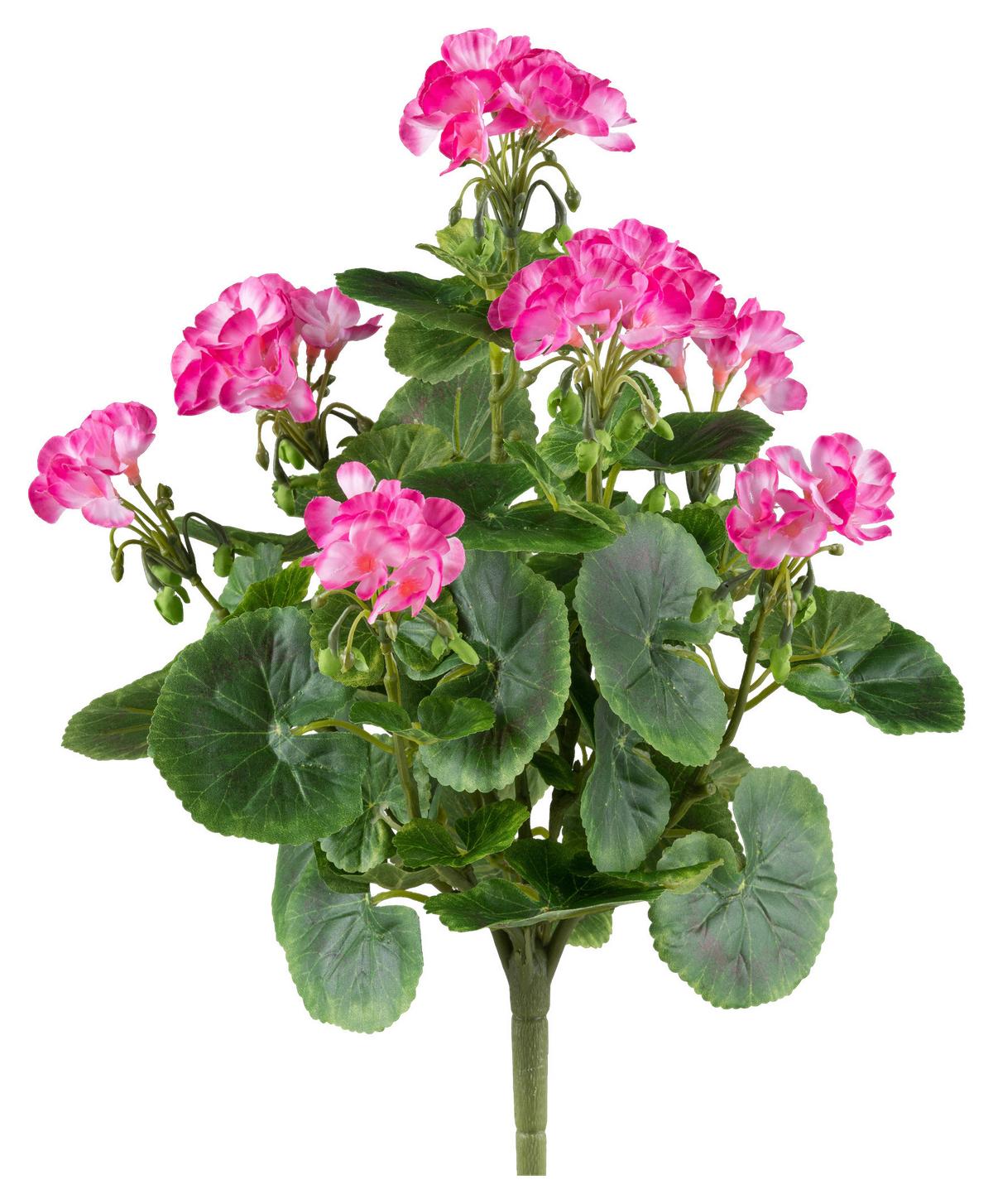 Kunstpflanze H: 40 cm - Pink/Grün, Design, Kunststoff (40cm) - P & B