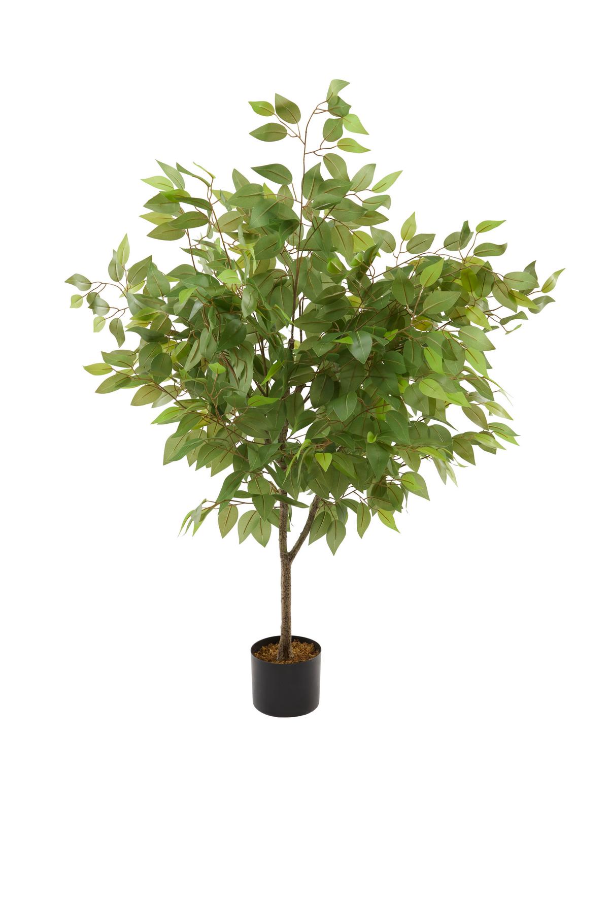 Kunstpflanze Ficusbaum Sebastian - Schwarz/Naturfarben, LIFESTYLE, Kunststoff/Stein (150cm) - James Wood