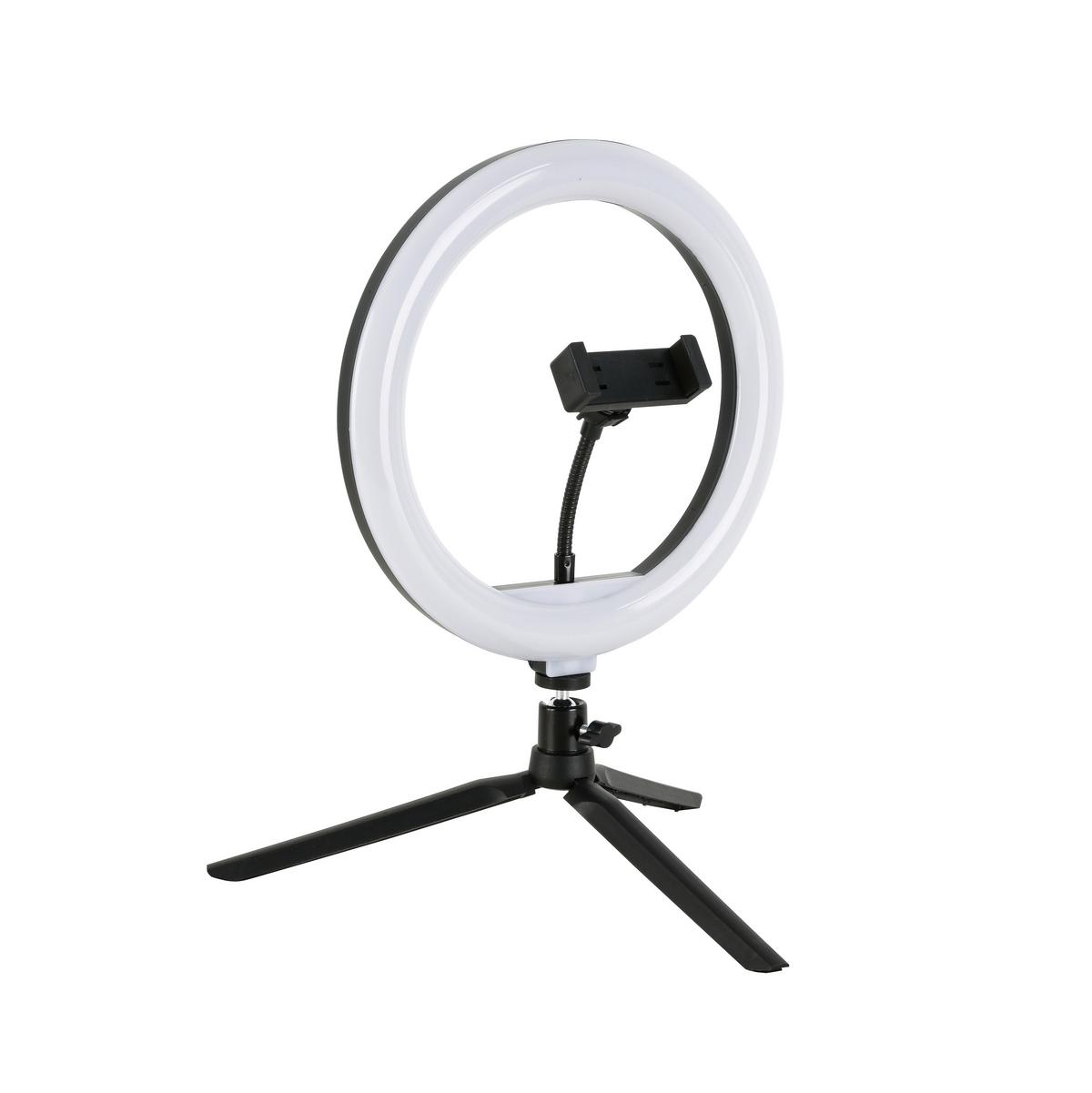 Dekoračné svietidlo Tofo, P/V: ca 26/40cm, čierna - čierna, Modern, kov/plast (24,5/38cm) - Mömax