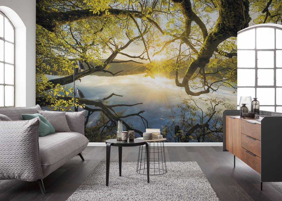 Vliestapete Sh080-Vd4 Golden Embrace - Natur (400/250cm)