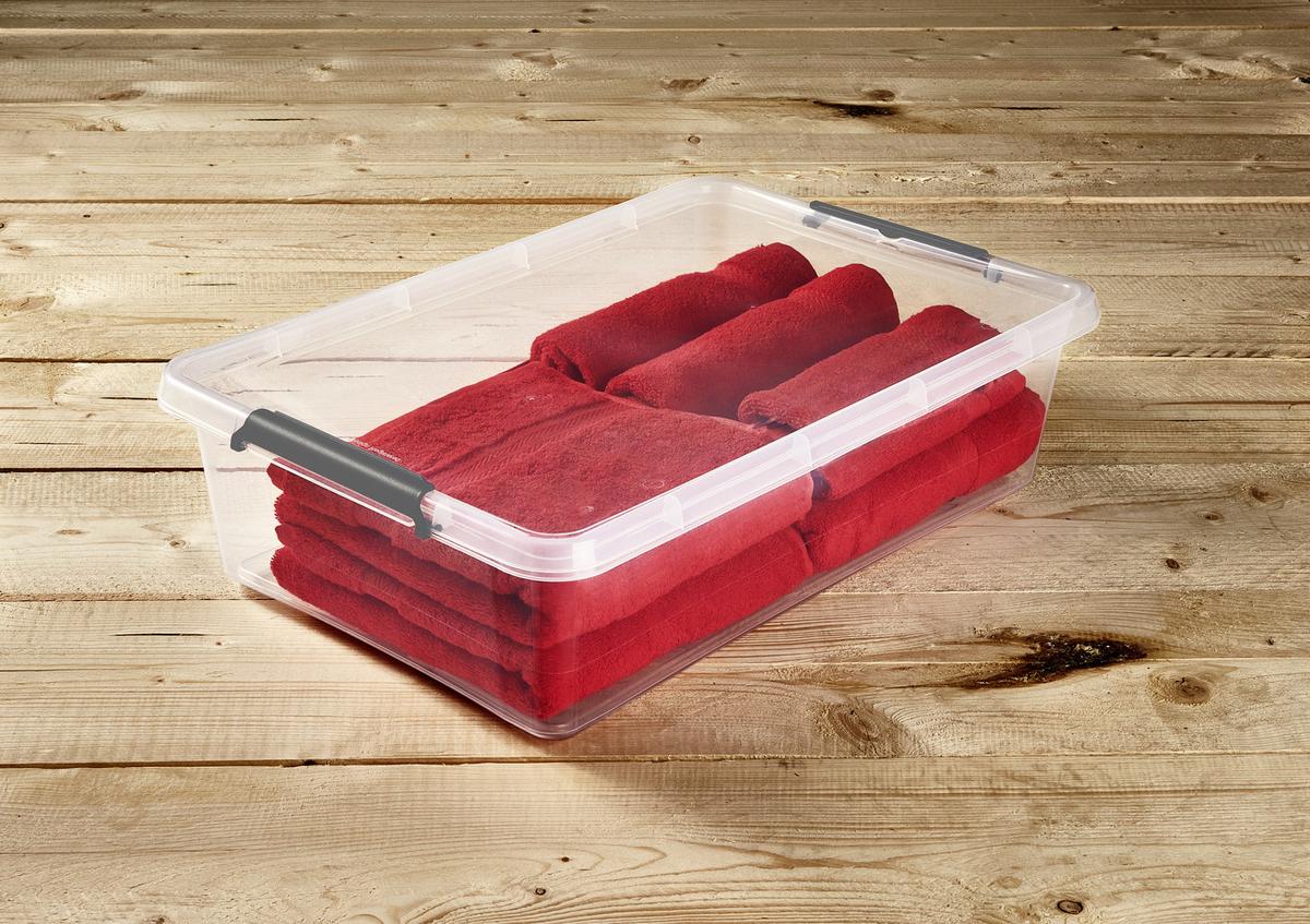 Unterbettroller m. Deckel Lars 29L, 58x39x16 cm - Transparent, Basics, Kunststoff (58/39/16cm) - Homezone
